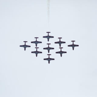 Snowbirds_2026_01