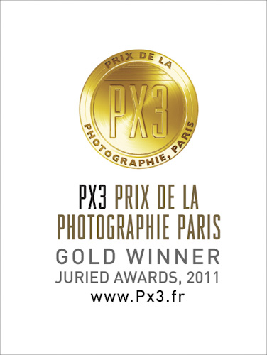 PX3 Gold Medal